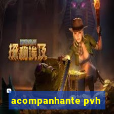 acompanhante pvh